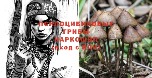 mix Каменногорск