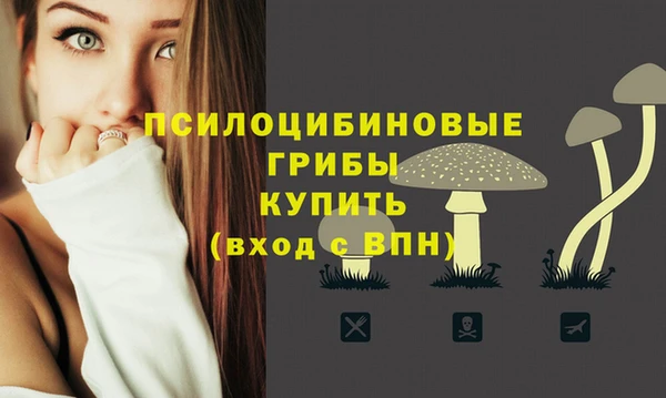 мдпв Карталы