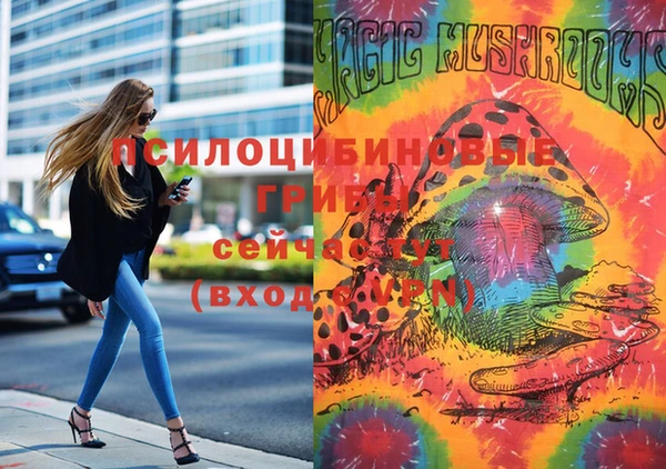 MDMA Premium VHQ Каменка