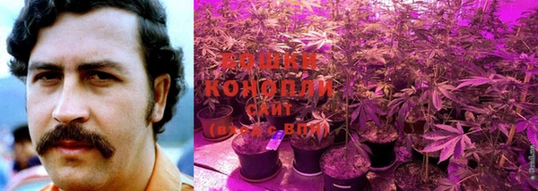 MDMA Premium VHQ Каменка
