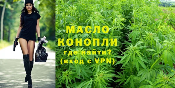 mix Инта