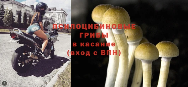 мдпв Каменск-Шахтинский