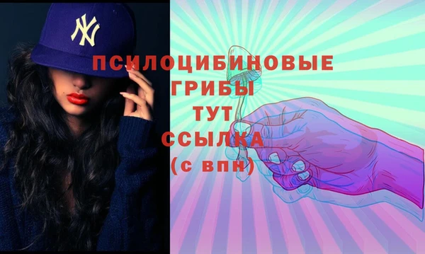 mix Каменногорск