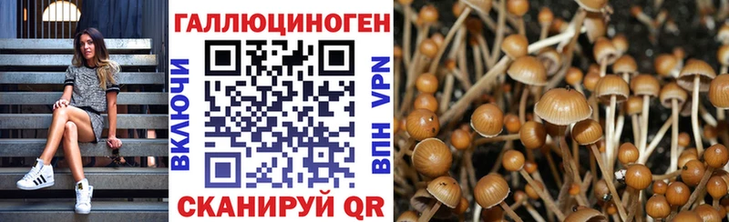 Псилоцибиновые грибы GOLDEN TEACHER  Нерехта 